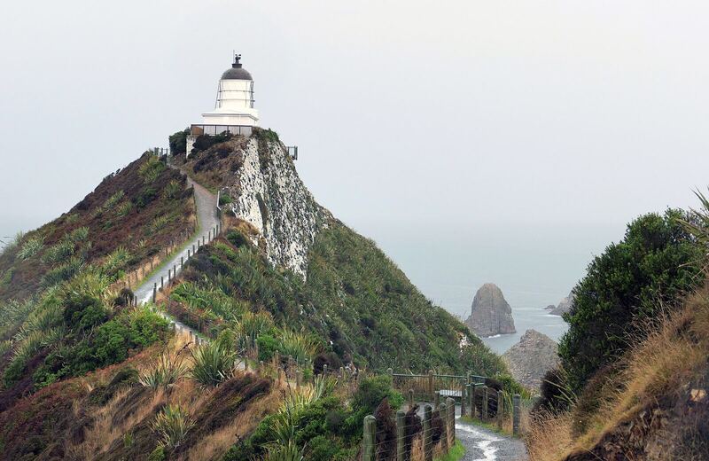 Nugget Point. Catlins NZ (52138279257)