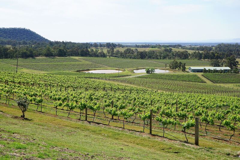 Hunter Valley Vineyards (23127601783)