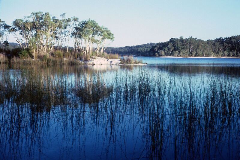 Lake McKenzie, K'gari (Fraser Island) 1984 QUT-481